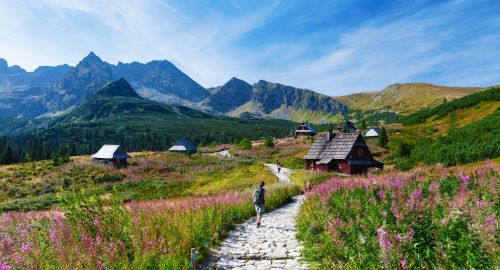 „Urok polskich gór” na okładce książki Nicka Cave’a!